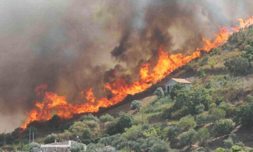 Incendi boschivi è record: 74.965 ettari bruciati nei primi sette mesi del 2017