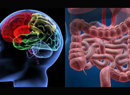 Salute & Benessere. Batteri intestinali per combattere l’ansia? Salute & Benessere. Batteri intestinali per combattere l’ansia?