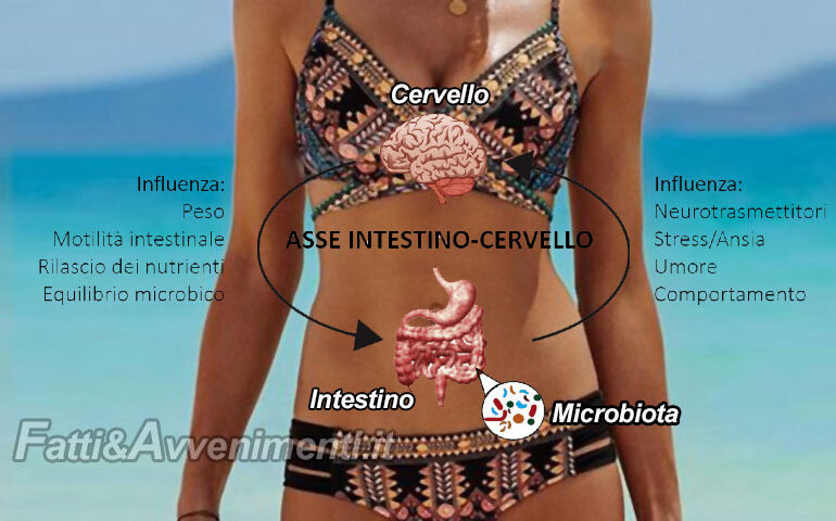 Mente sana in pancia sana: la cura del microbiota intestinale è la soluzione per vivere al meglio le emozioni